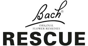 BACH RESCUE